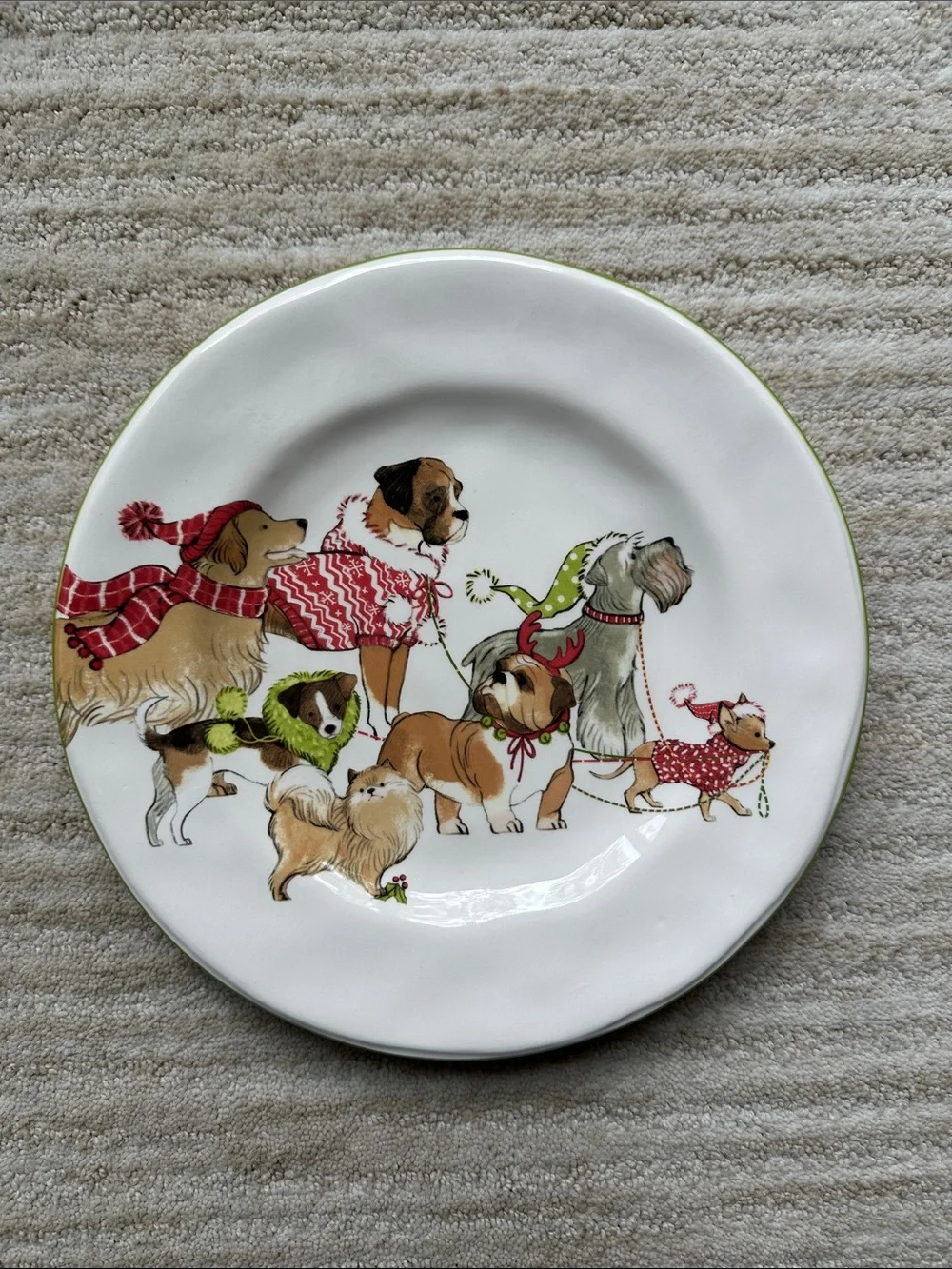Set of 4 PIER 1 Park Avenue Holiday Puppies Salad Plates Ironstone 8 3/4”
